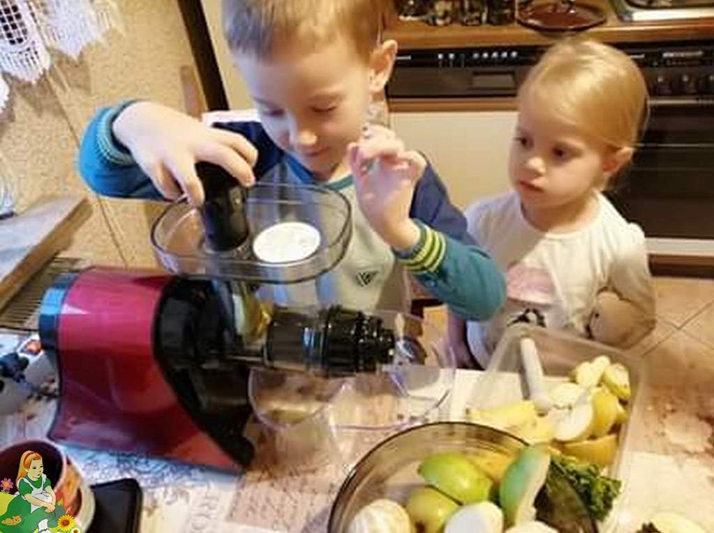 Dwoje dzieci robi koktajl owocowy
